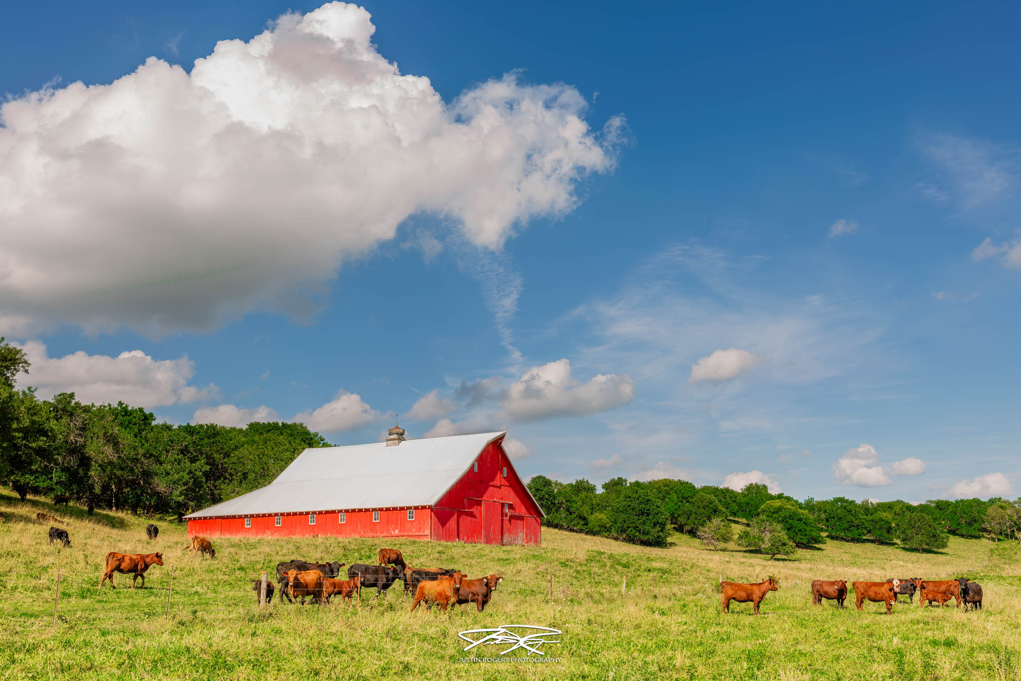 Supporting image for: Have you ever purchased locally raised beef / poultry / pork directly from a farm?